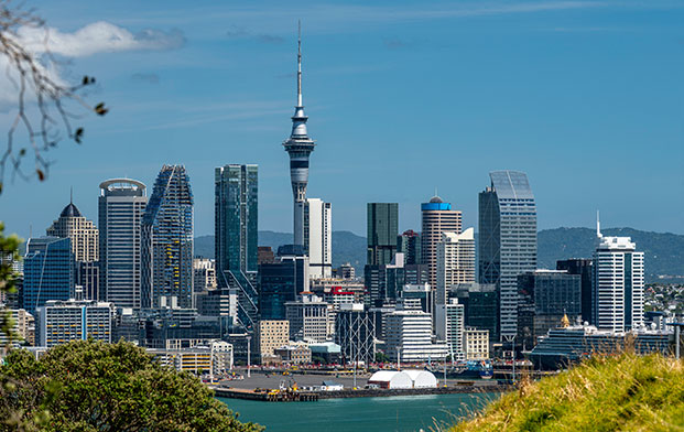 Nz Thumb About Us