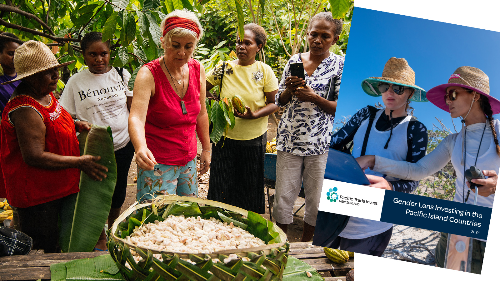 Banner, Gender Lens Report Story