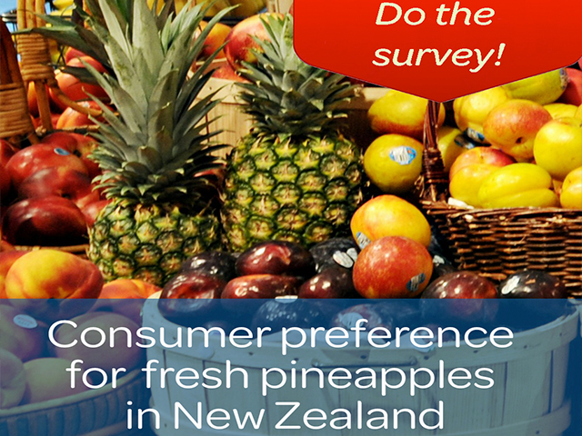 Website Pineapple Survey