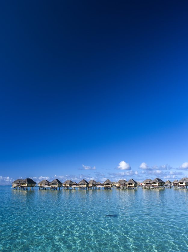 D319a848 Dfef 472B 9E78 D24d57a6b72e