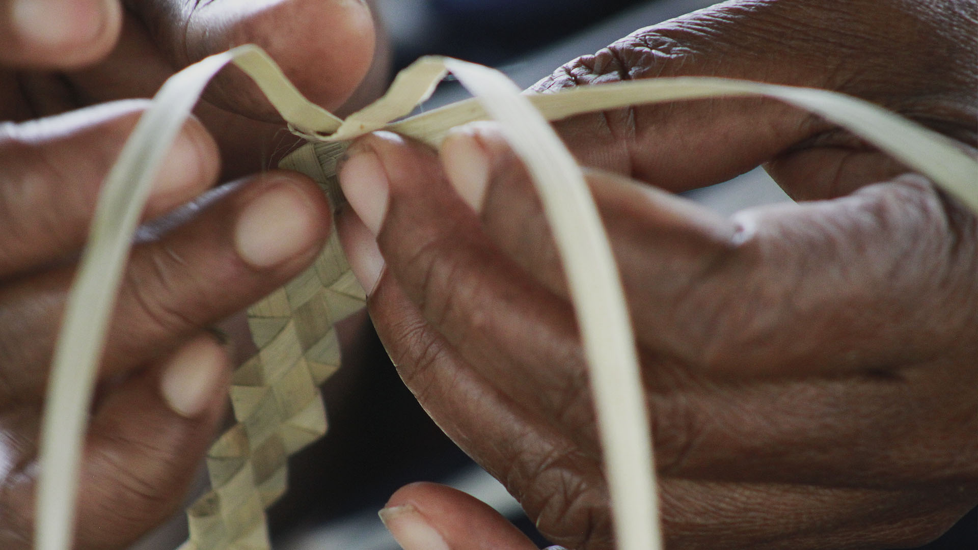 Hero Pti Tonga Hands