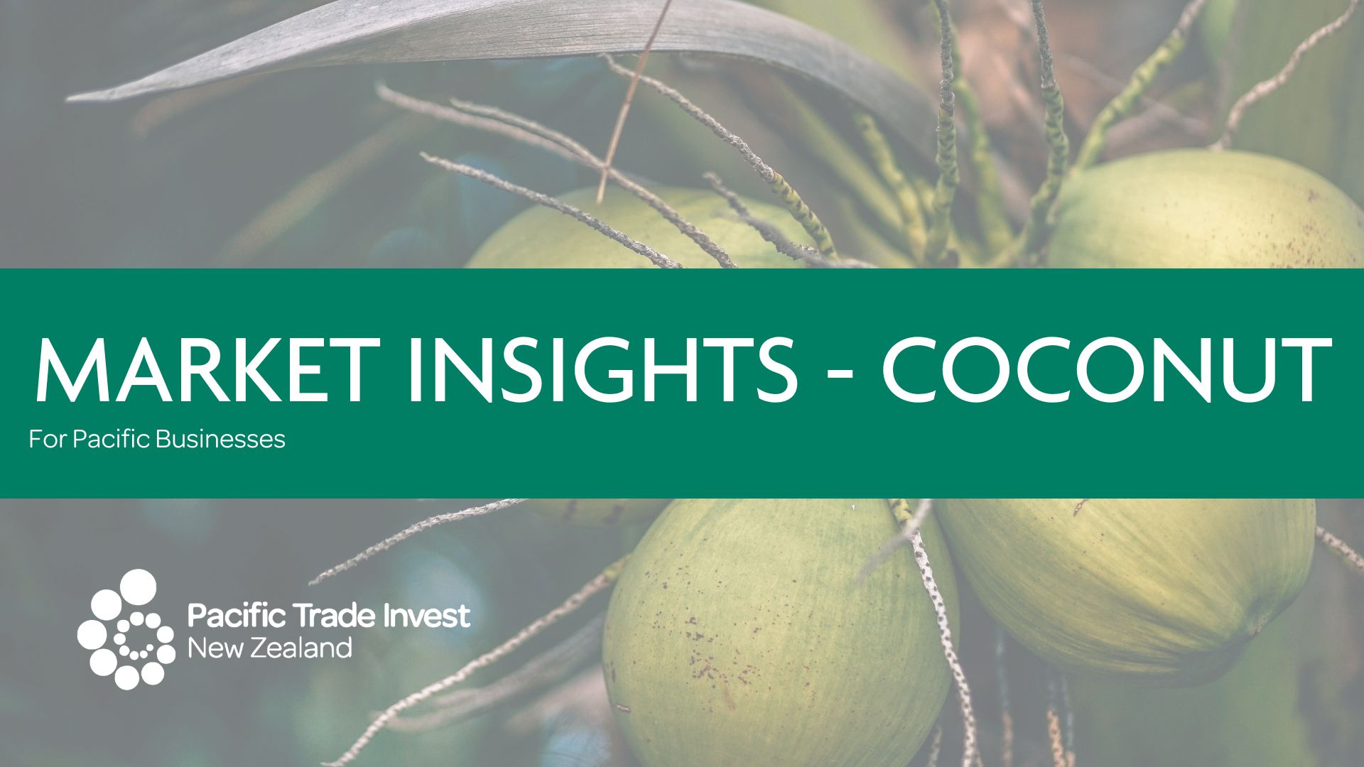 Market Insights Coconut