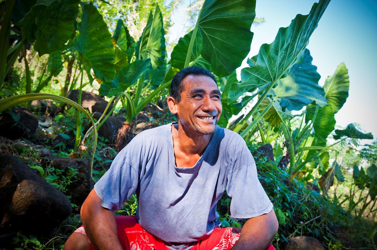 23195Bede73b09501e68eb1c443fc563a86b25c1