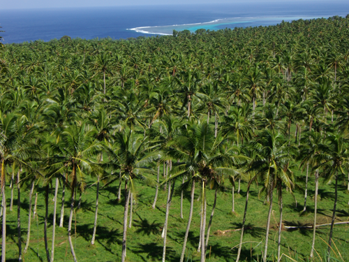 60C700731f675ba0b993c7dee1831144f9a192db