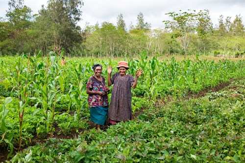 E59aeca89e996aff31df7092077216a108be643b