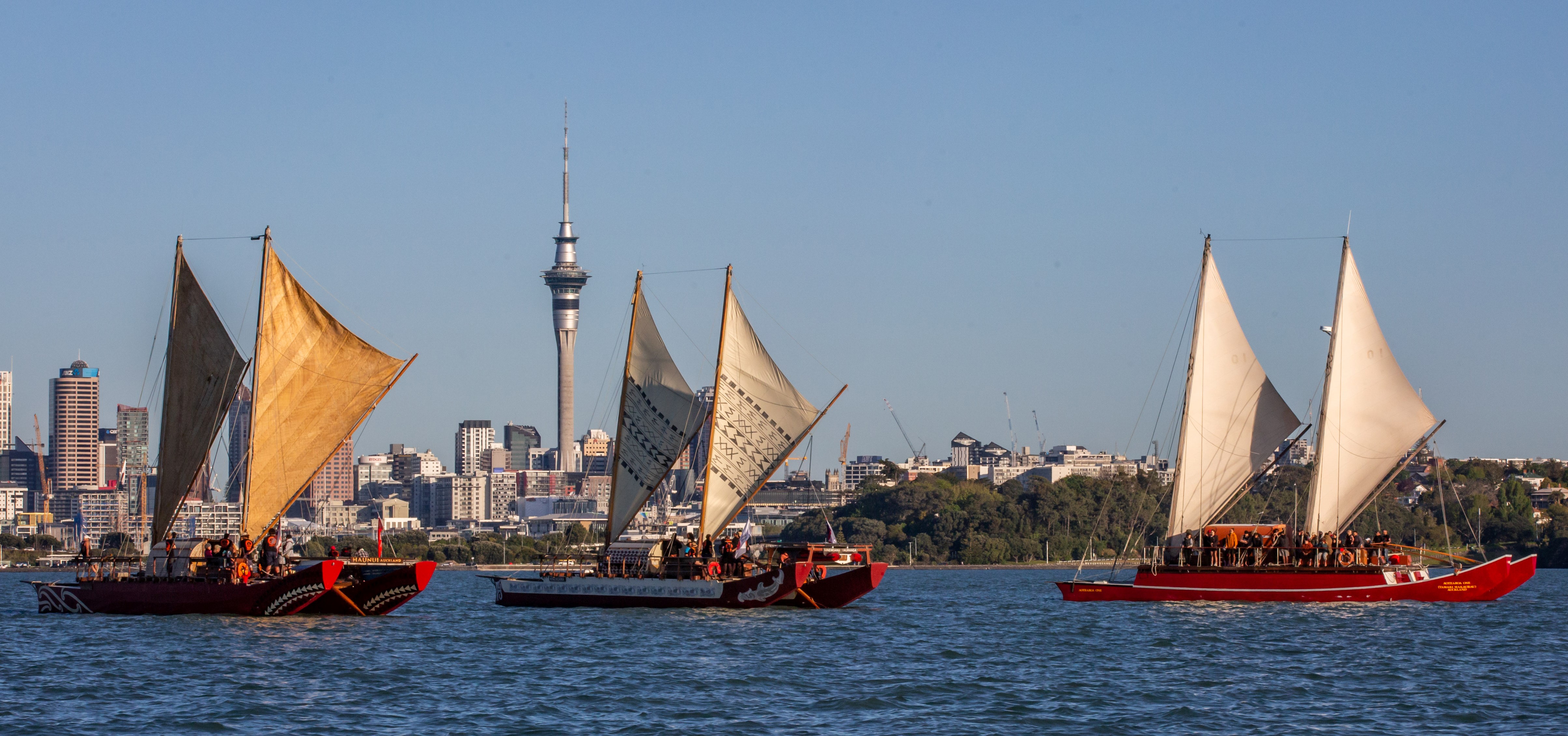 Pti Nz New Header Image